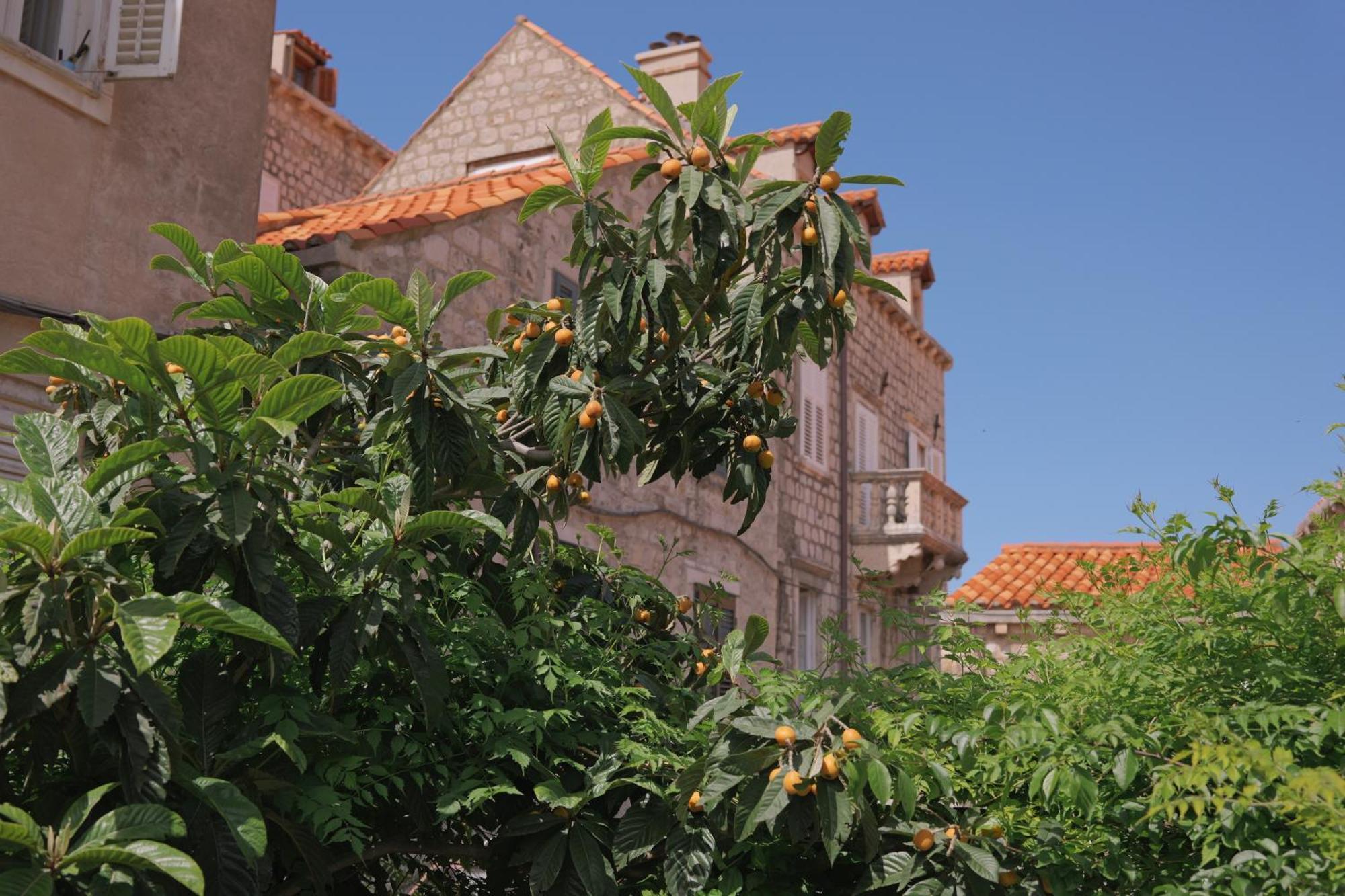 Old Town Green Oasis House ดูบรอฟนิก ภายนอก รูปภาพ